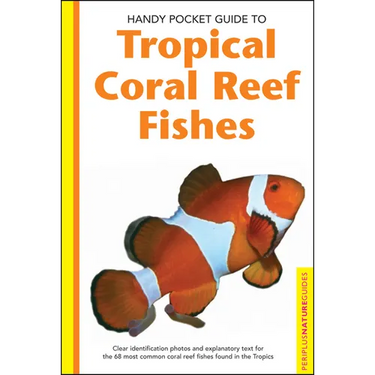 Tropical Coral Reef Fishes