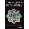 The Seljuks of Anatolia: Court and Society in the Medieval Middle East