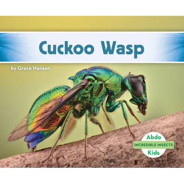 Cuckoo Wasp