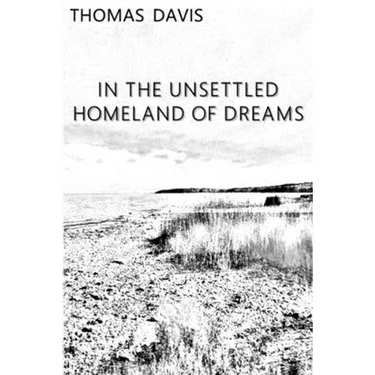 In the Unsettled Homeland of Dreams