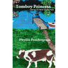Tomboy Princess: ...and an Accident-Prone Papa