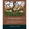 The Solitary Summer