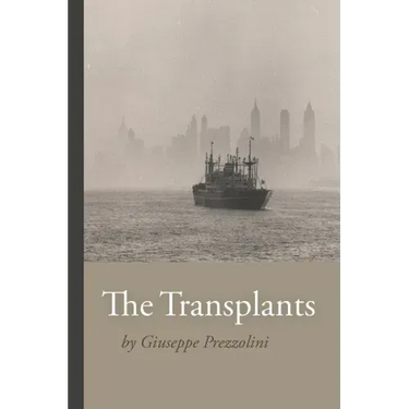 The Transplants