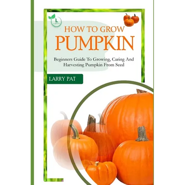How to Grow Pumpkin: Beginners guide to growing, caring and harvesting of pumpkin from seed