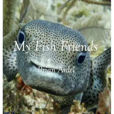 My Fish Friends