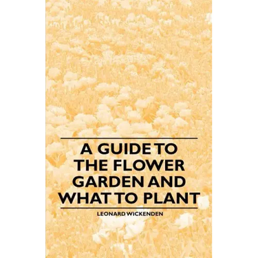 A Guide to the Flower Garden and What to Plant