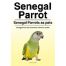 Senegal Parrot. Senegal Parrots as pets. Senegal Parrots Essential Owners Guide.
