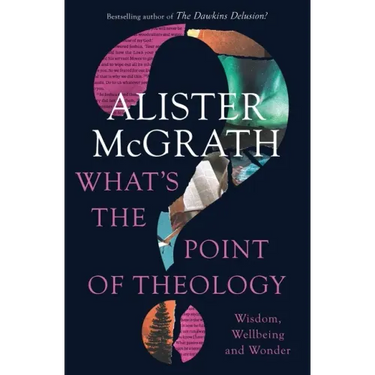 What's the Point of Theology?: Wisdom, Wellbeing and Wonder