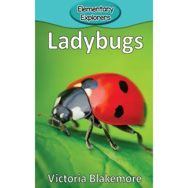 Ladybugs