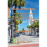 Southern Horizons: Institutional Real Estate Strategies for Growth, Resource Optimization, and Long-Term Value in the U.S. South