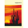 Saguaro: National Monument