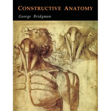 Constructive Anatomy