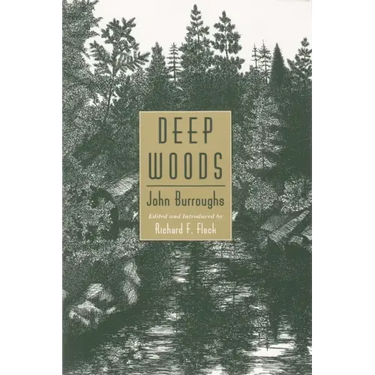 Deep Woods