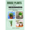 House Plants for Beginners: 25 Best Indoor Plants You Should Have in 2024