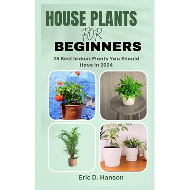 House Plants for Beginners: 25 Best Indoor Plants You Should Have in 2024