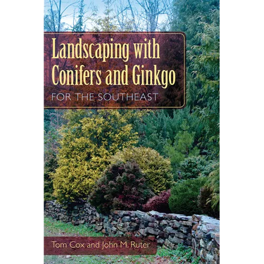 Landscaping with Conifers and Ginkgo for the Southeast
