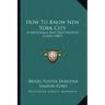 How To Know New York City: A Serviceable And Trustworthy Guide (1887)