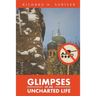 Glimpses of an Uncharted Life: The Empire Collapsed, but the Evil Remained