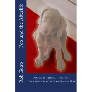 Pets and the Afterlife
