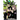 World Trigger, Vol. 26