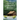 When the Daffodils Bloom: Charlotte's Story