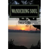 Wandering Soul: full of love, pain, and fun