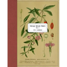 Vintage Botany Prints: Vol. 2