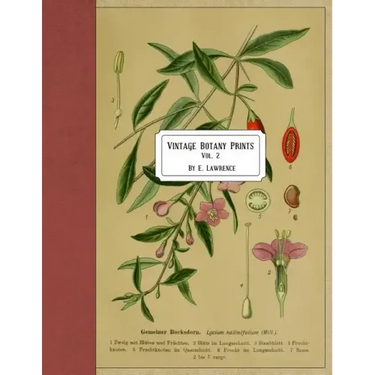 Vintage Botany Prints: Vol. 2