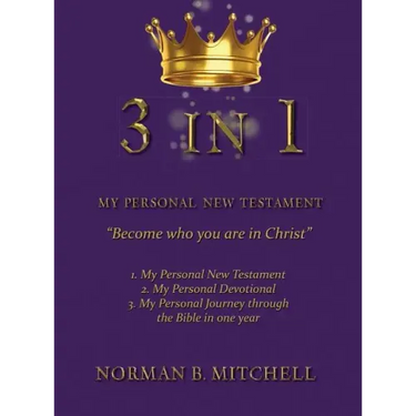 3 in 1