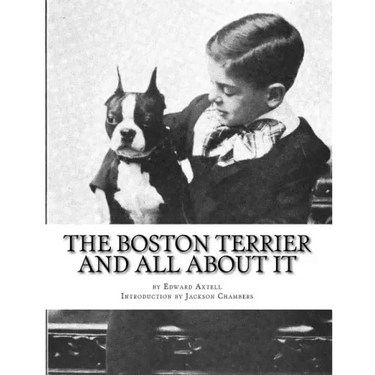 The Boston Terrier and All About It
