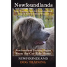 Newfoundlands Dog Training Book for Newfoundland Dogs & Newfoundland Puppies by D!G THIS DOG Training: Newfoundland Training Begins From the Car Ride