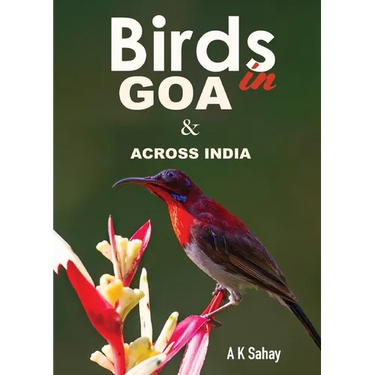 Birds in Goa & Across India