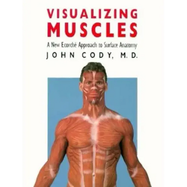 Visualizing Muscles: A New Ecorche Approach to Surface Anatomy