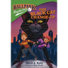 The Black Cat Change-Up