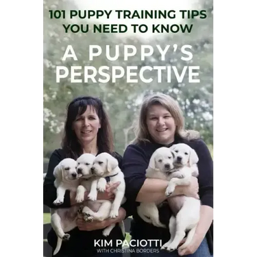 A Puppy's Perspective: 101 Puppy Training Tips You Need to Know