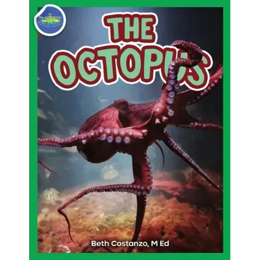 The Octopus ages 2-4