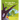 The Little Book of Trees