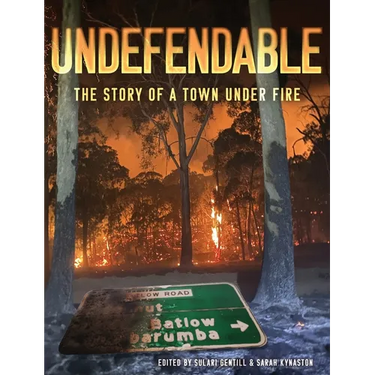 Undefendable: The Story of a Town Under Fire