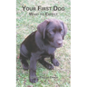 Your First Dog: What to Expect