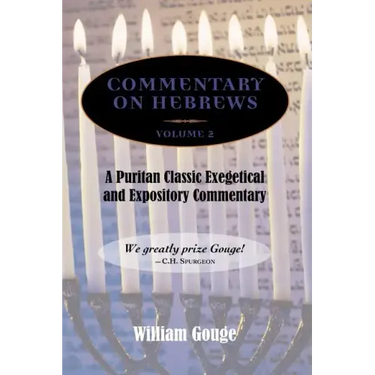 Commentary on Hebrews: Exegetical and Expository - Vol. 2 (8-13)