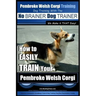 Pembroke Welsh Corgi Training Dog Training with the No BRAINER Dog TRAINER We make it THAT Easy!: How to EASILY TRAIN Your Pembroke Welsh Cogri