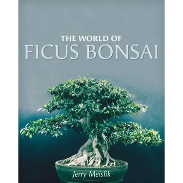The World of Ficus Bonsai