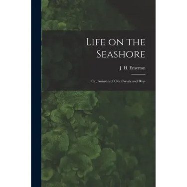Life on the Seashore: or, Animals of Our Coasts and Bays
