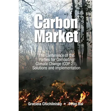 Reversing Climate Change: How Carbon Removals Can Resolve Climate Change and Fix the Economy