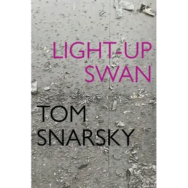 Light-Up Swan