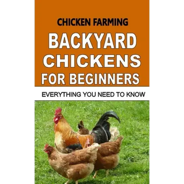 Chicken Farming: Backyard Chickens For Beginners: Everything You Need To Know