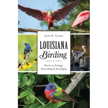 Louisiana Birding: Stories on Strategy, Stewardship and Serendipity
