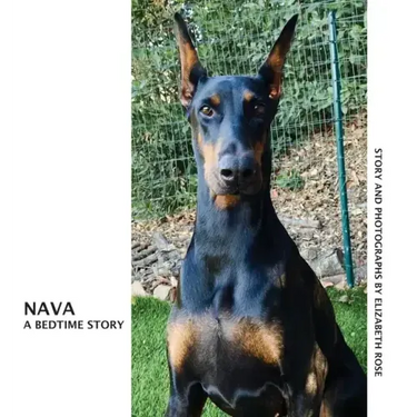 Nava: A Bedtime Story