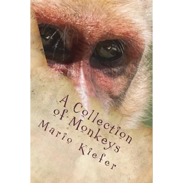 A Collection of Monkeys