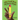Little Pencil Finds His Forever Friends: A Rhyming Pencil Grip Picture Book